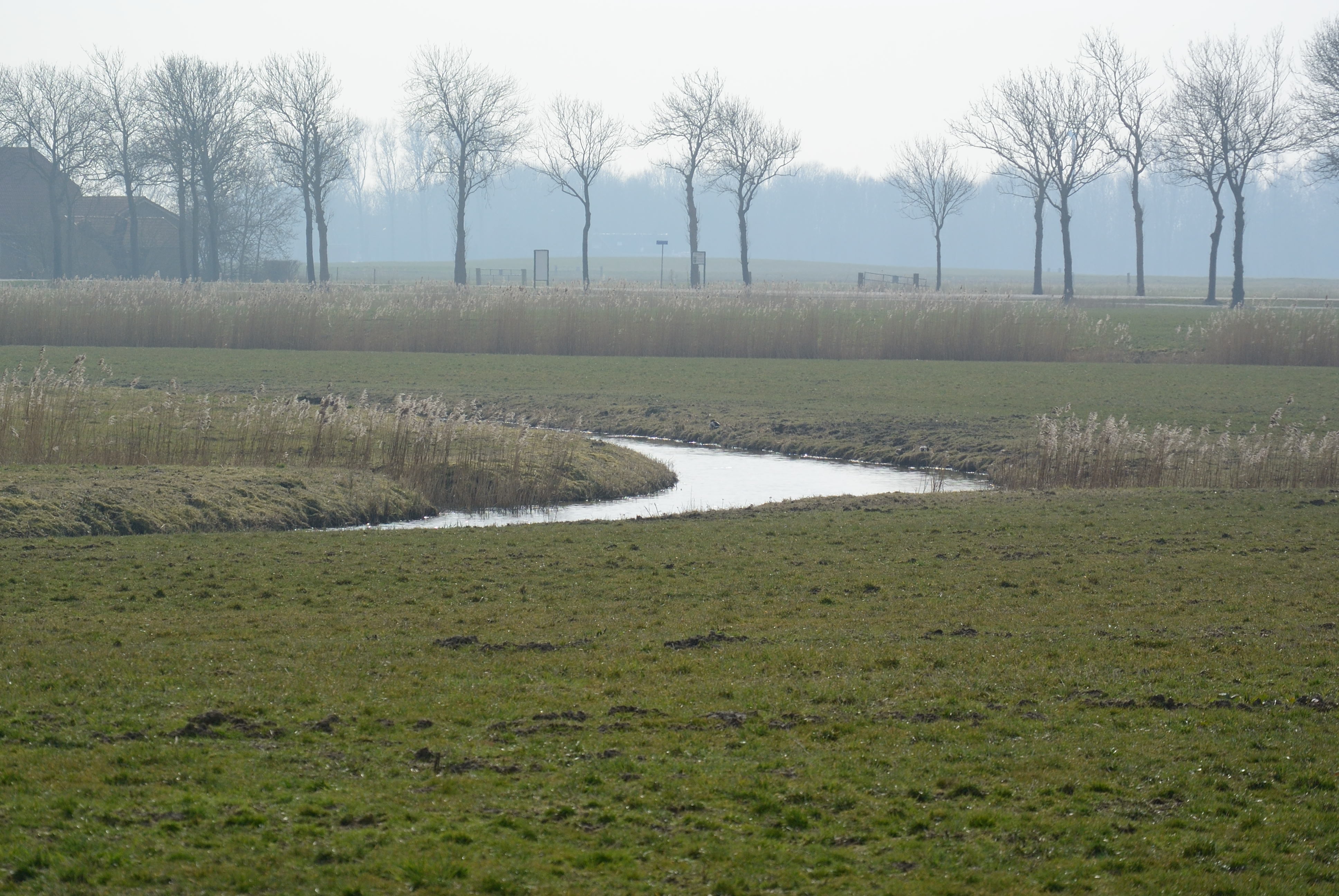 /kraai/foto/2015/2015-03-17 Harssens/DSC_1071_019.jpg